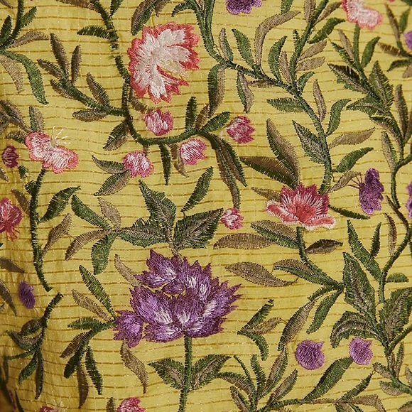 ANTHROPOLOGIE | La Fuori Embroidered Shorts - Picture 2 of 8